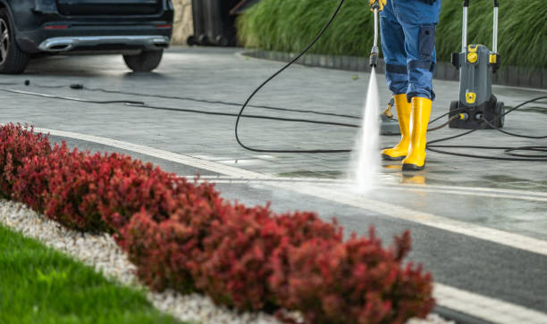 Professional Pressure Washing Services in Lake Catherine, IL